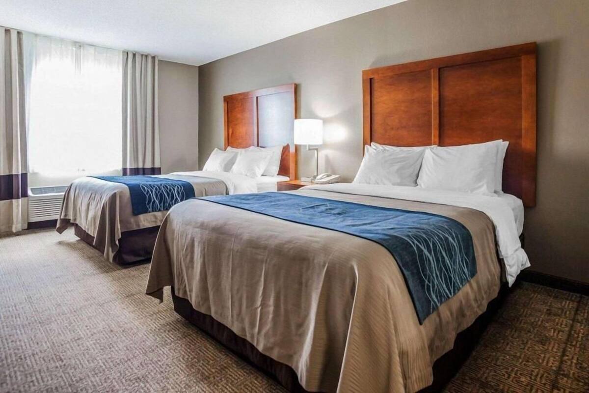 Strykjärn/strykbräda, gratis barnsängar, extrasängar och gratis wi-fi