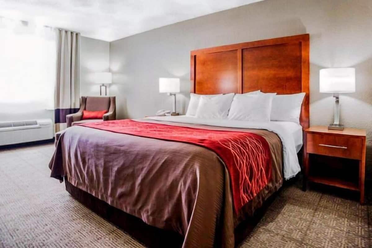 Iron/ironing board, free cribs/infant beds, rollaway beds, free WiFi