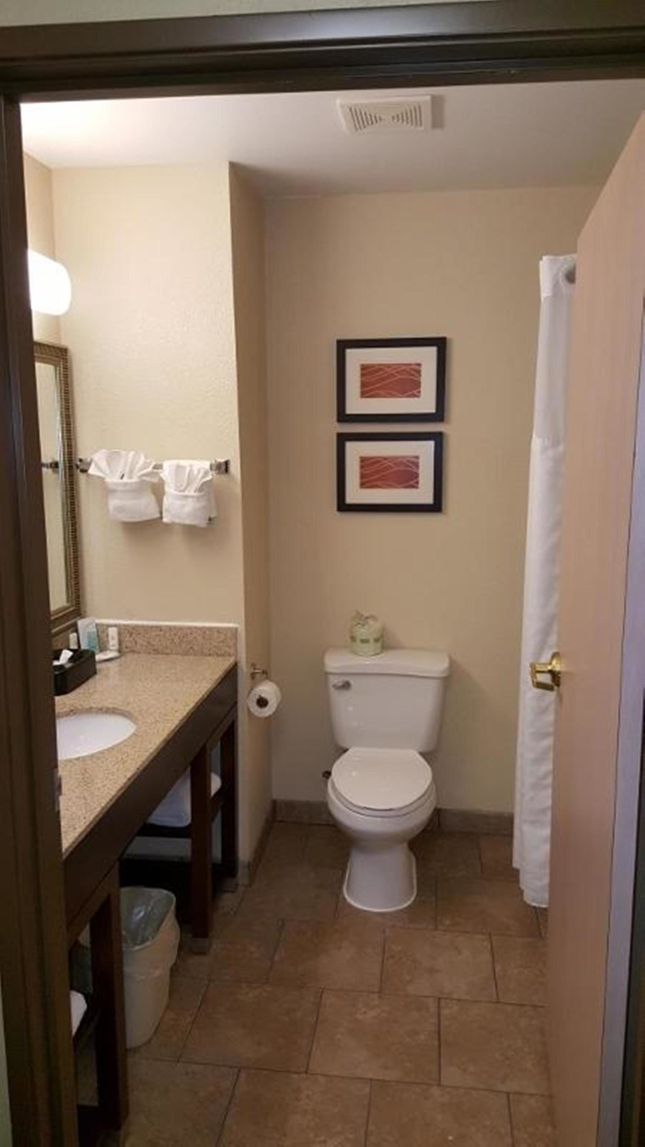 combined shower/bathtub, free toiletries, hair dryer, towels