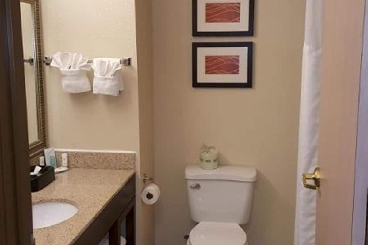 combined shower/bathtub, free toiletries, hair dryer, towels