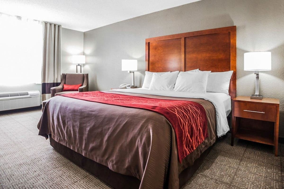 Iron/ironing board, free cribs/infant beds, rollaway beds, free WiFi