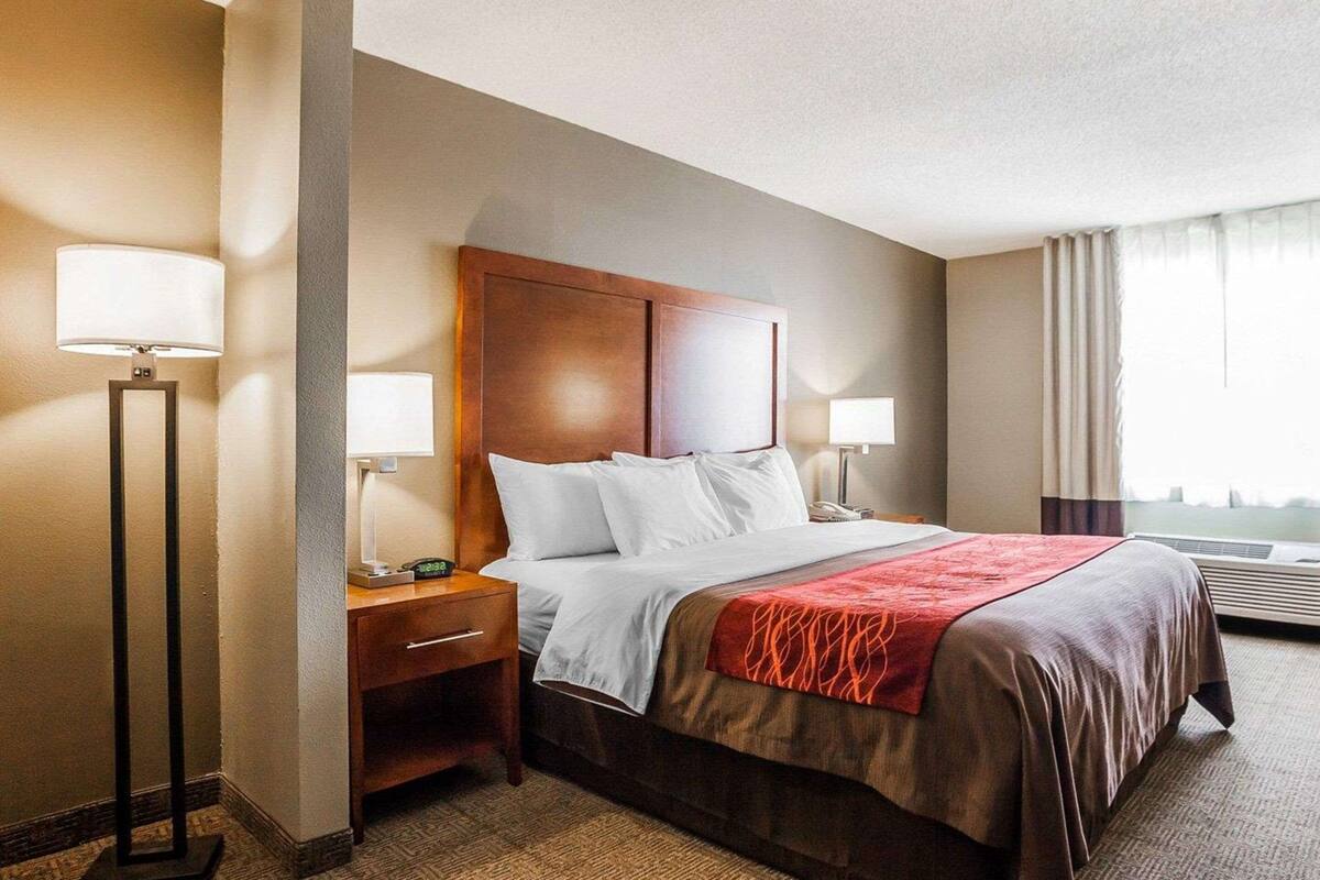 iron/ironing board, free cots/infant beds, rollaway beds, free wifi