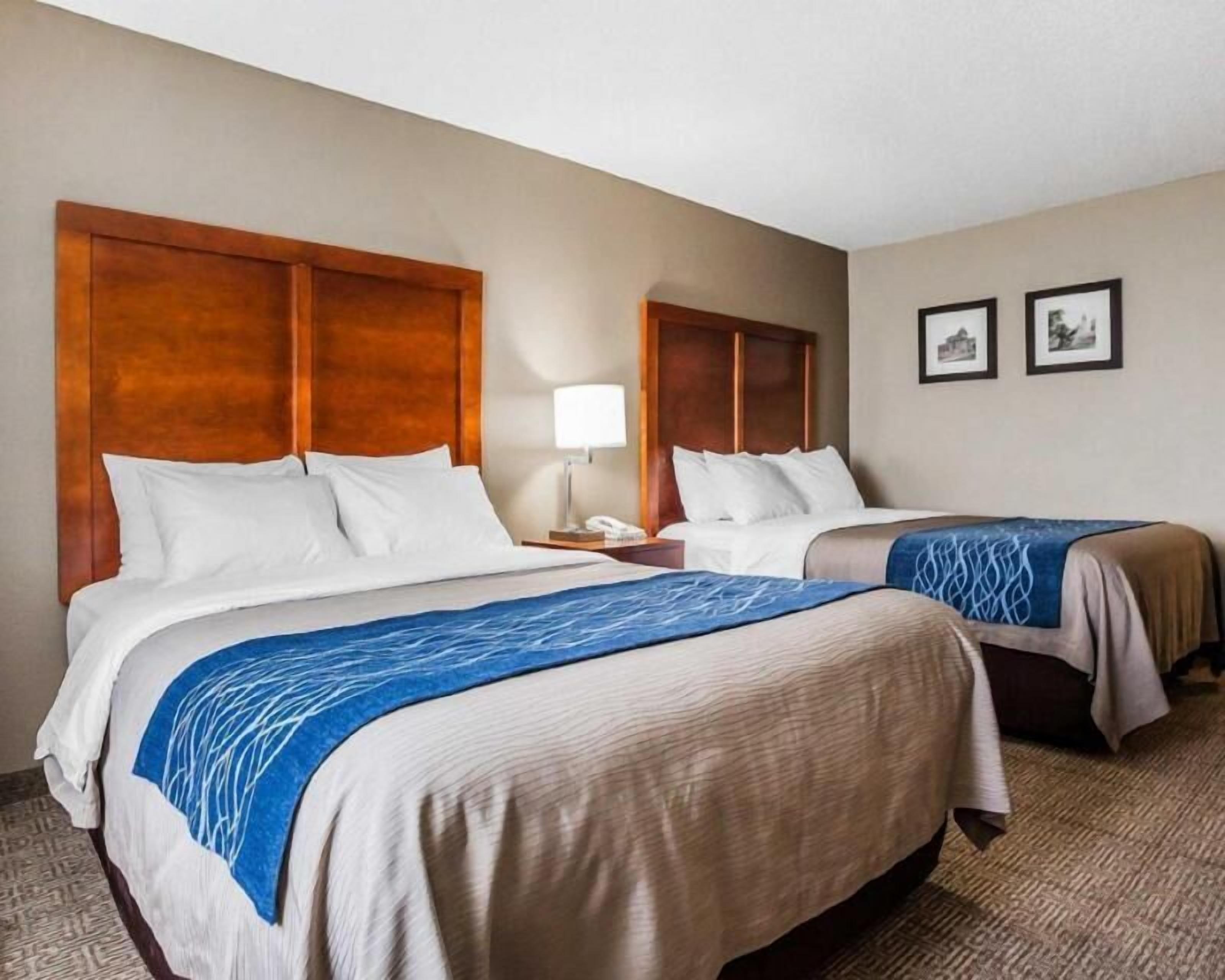 Strykjärn/strykbräda, gratis barnsängar, extrasängar och gratis wi-fi