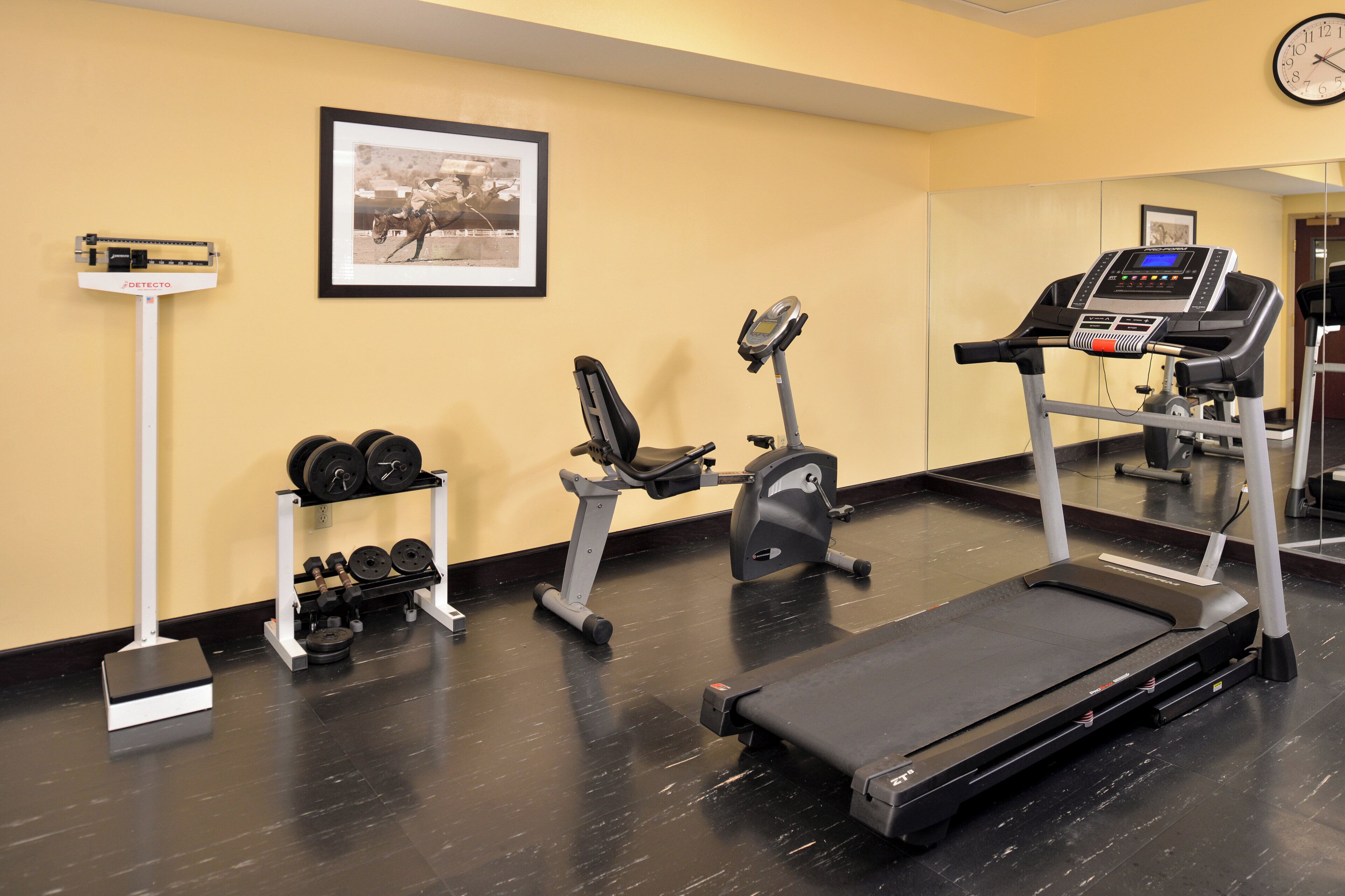A gym with a treadmill, elliptical, and dumbbells.
