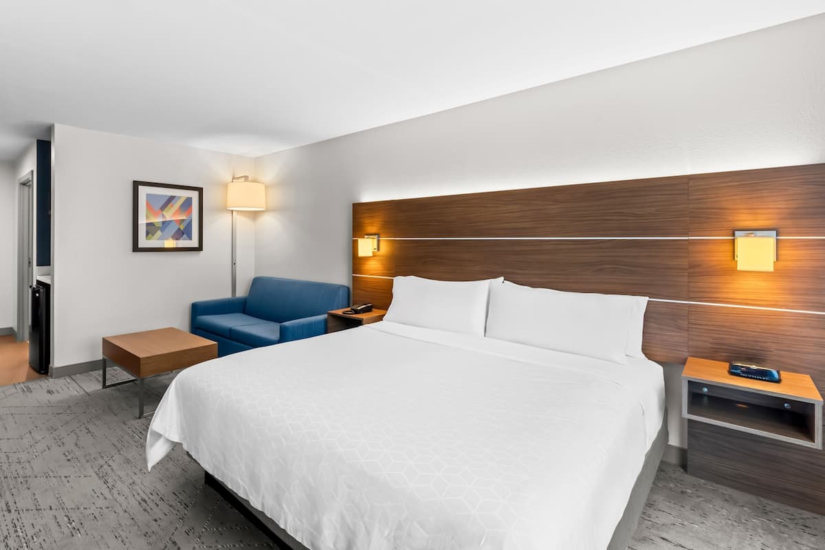 Suite, 1 cama King size y sofá cama | 1 habitación, caja de seguridad en la habitación y escritorio