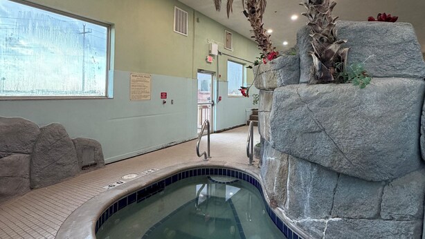 An indoor swimming pool with a tiled floor, a rock wall, and a palm tree.