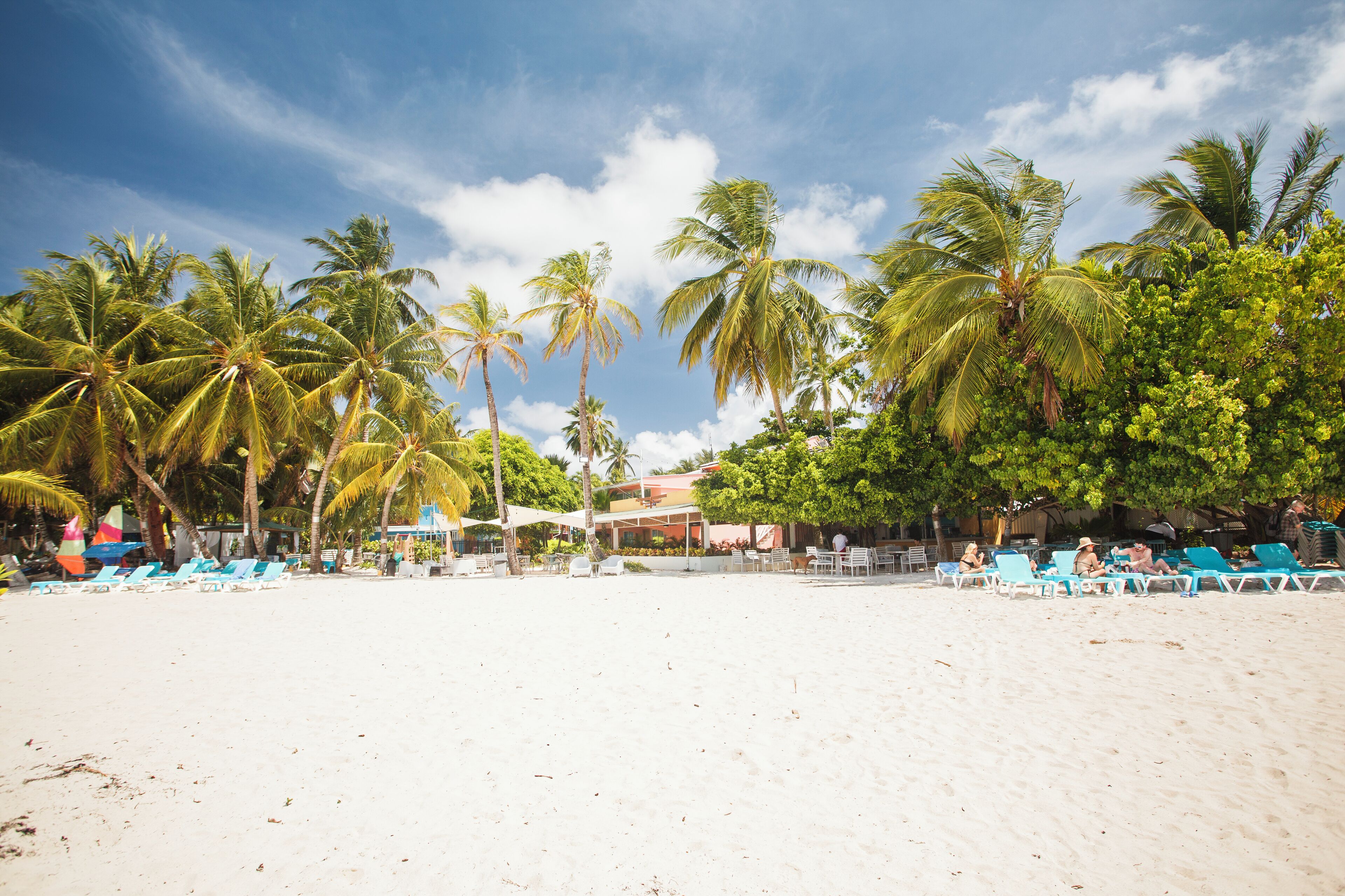 A beach with palm trees, sun loungers, and a building in the background.