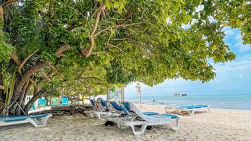 A beach with lounge chairs under a large tree, a sandy shore, and a clear view of the ocean.