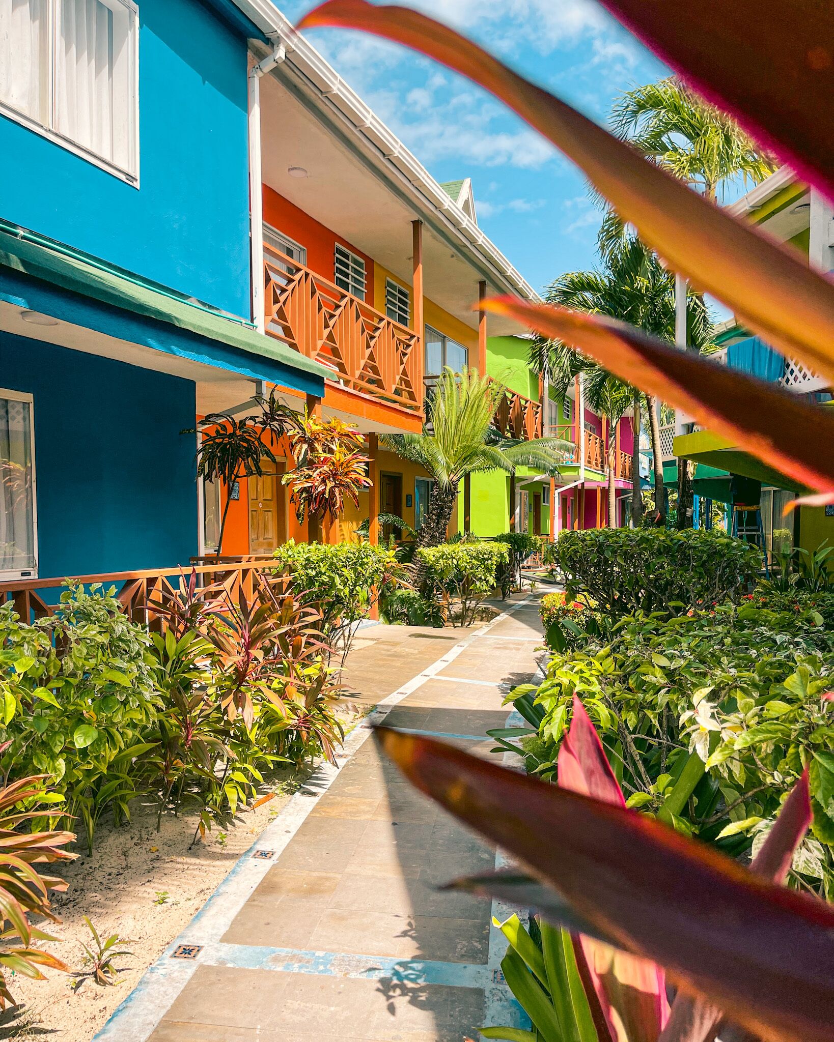 Um edifício colorido com um caminho ladeado por plantas.