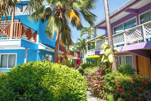 A colorful hotel courtyard with lush greenery and palm trees. - Cocoplum Beach Hotel (San Andrés)