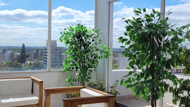 A sunlit room with large windows, a wooden bench, and potted plants. - Hotel Mendoza (Mendoza)