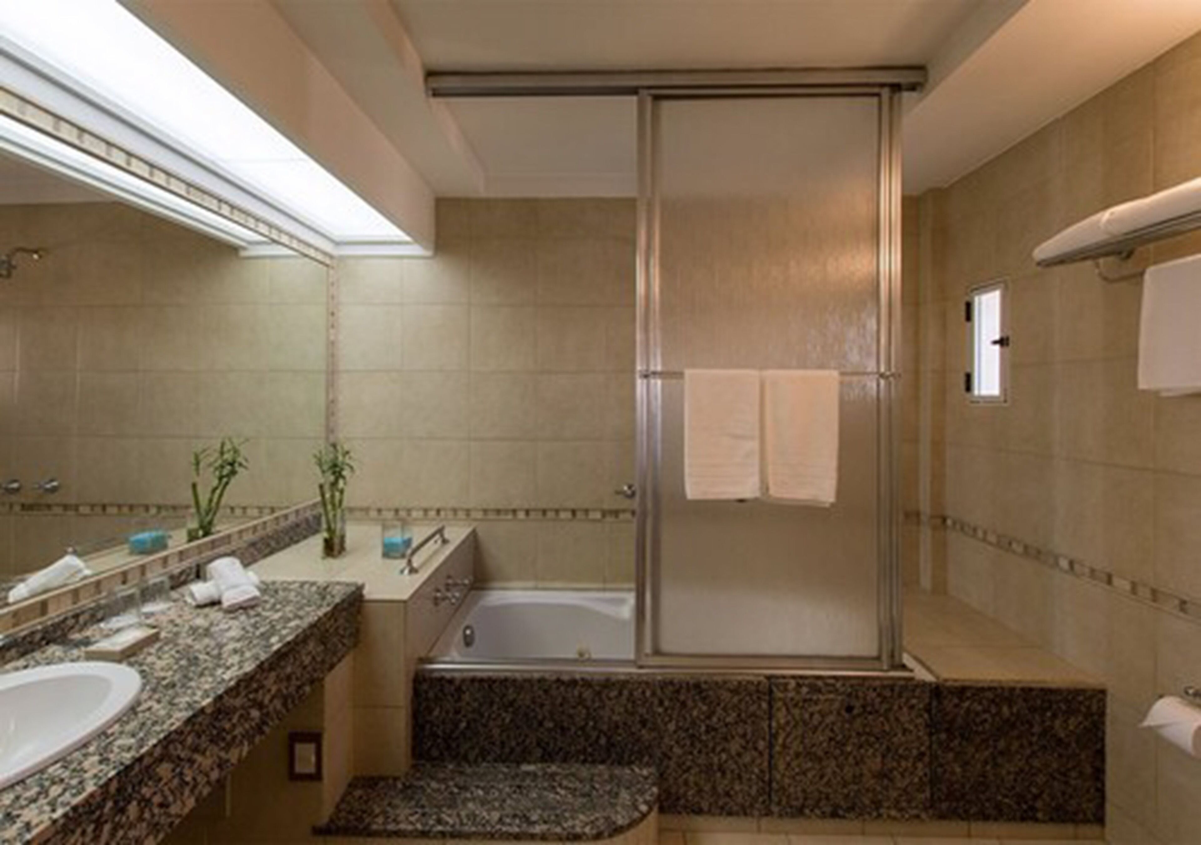 hair dryer, bidet, towels