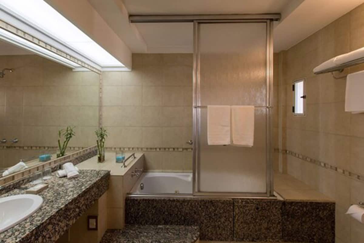 hair dryer, bidet, towels