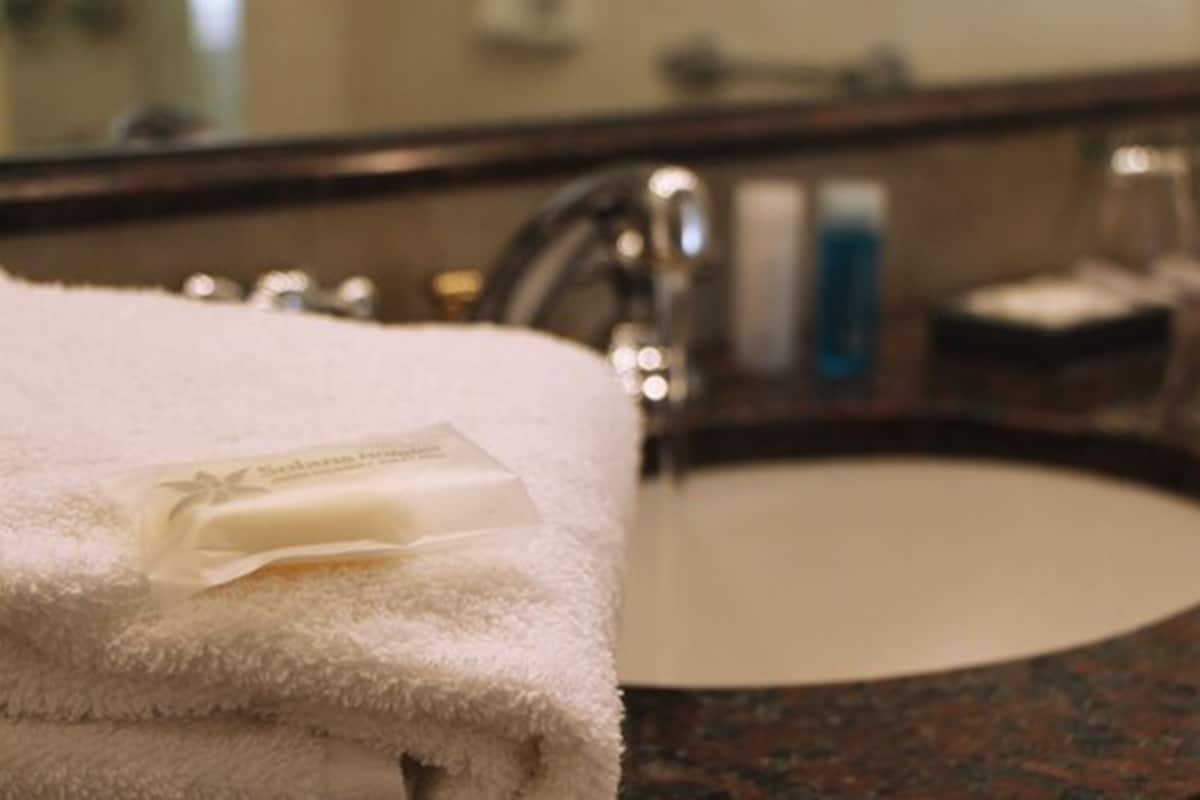 hair dryer, bidet, towels