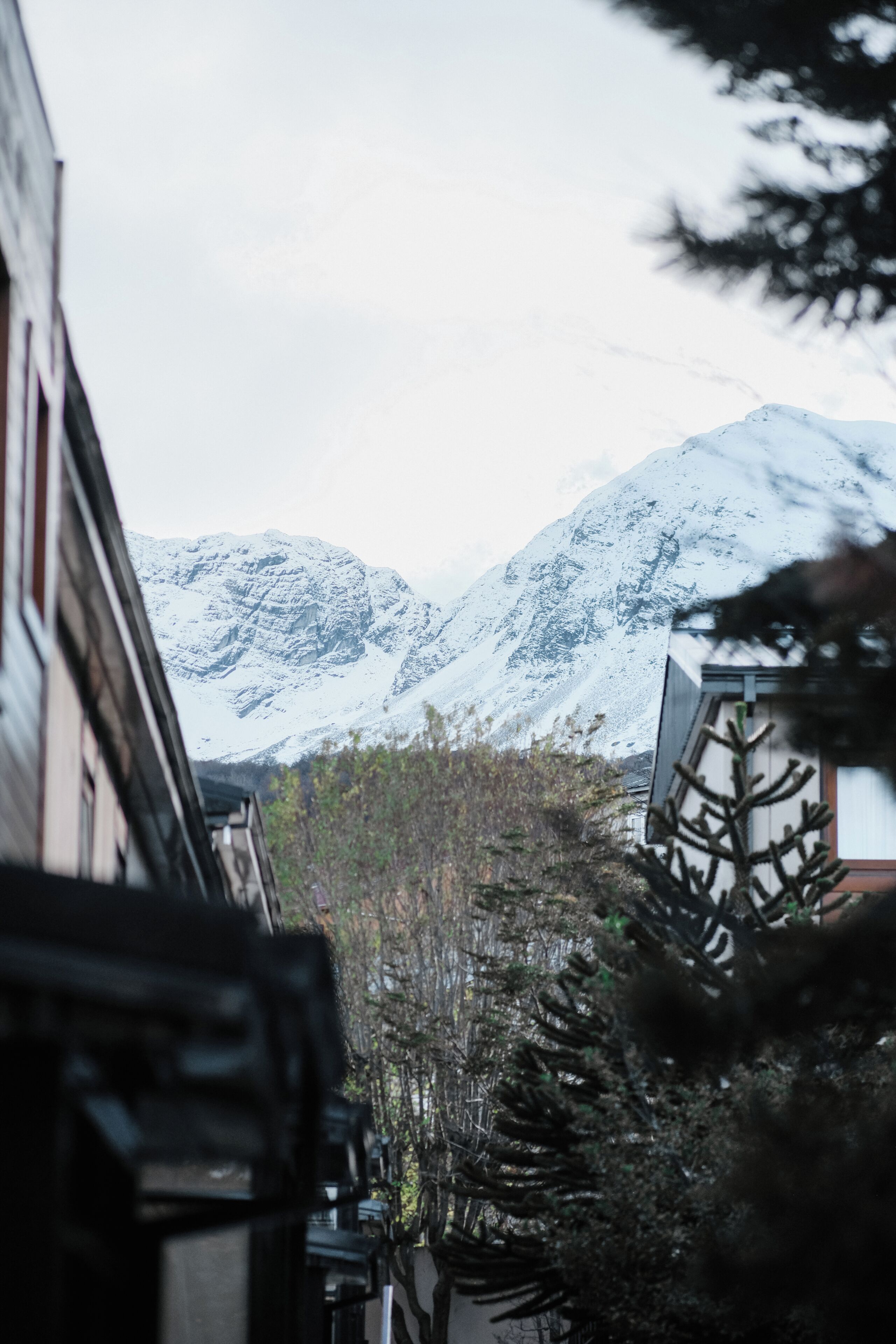 Photo - Hostal del Bosque