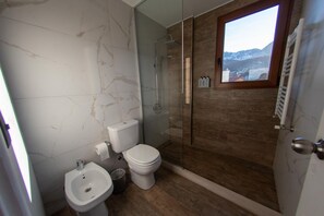 Shower, hair dryer, bidet, towels