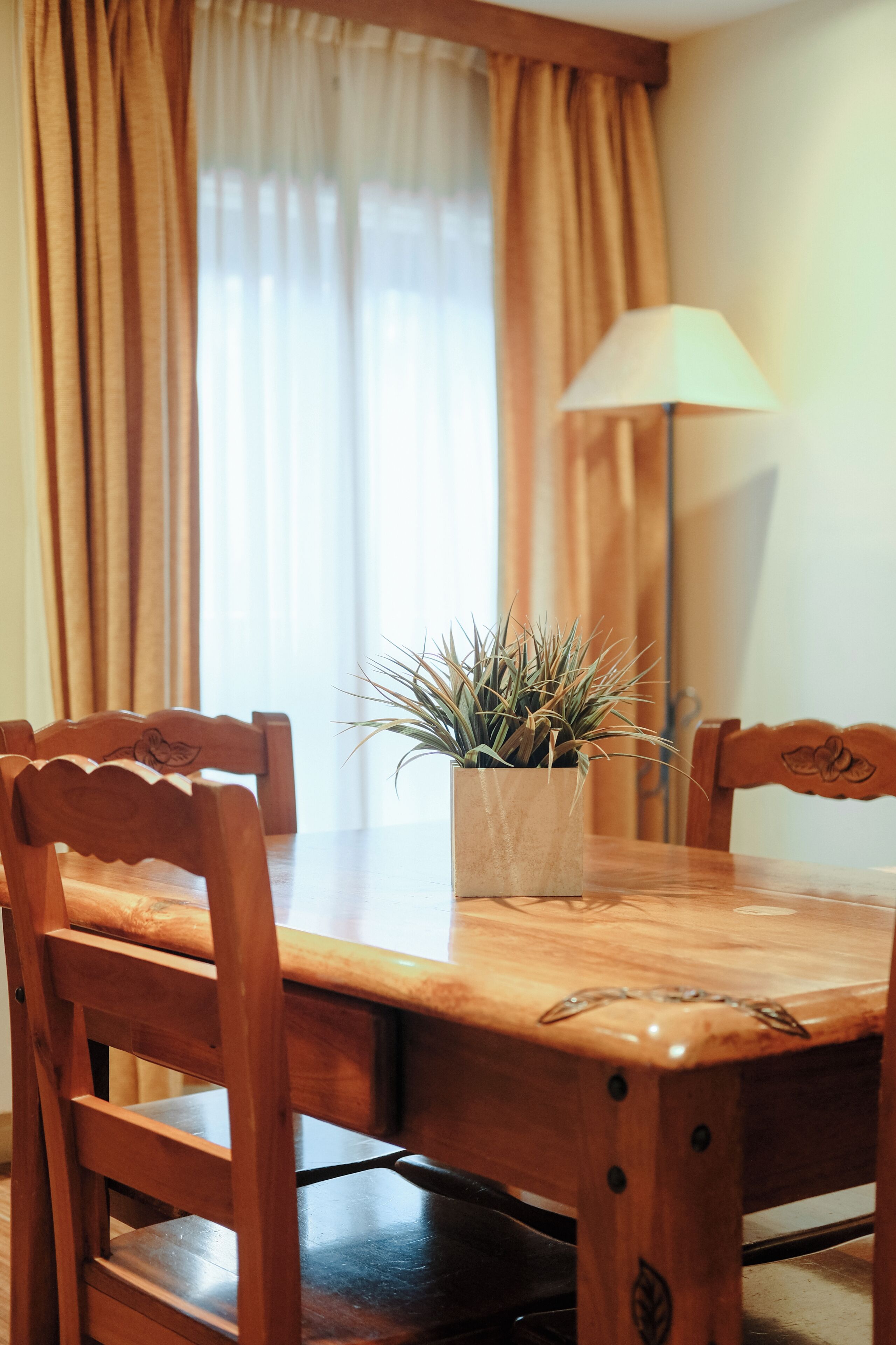 Photo - Hostal del Bosque