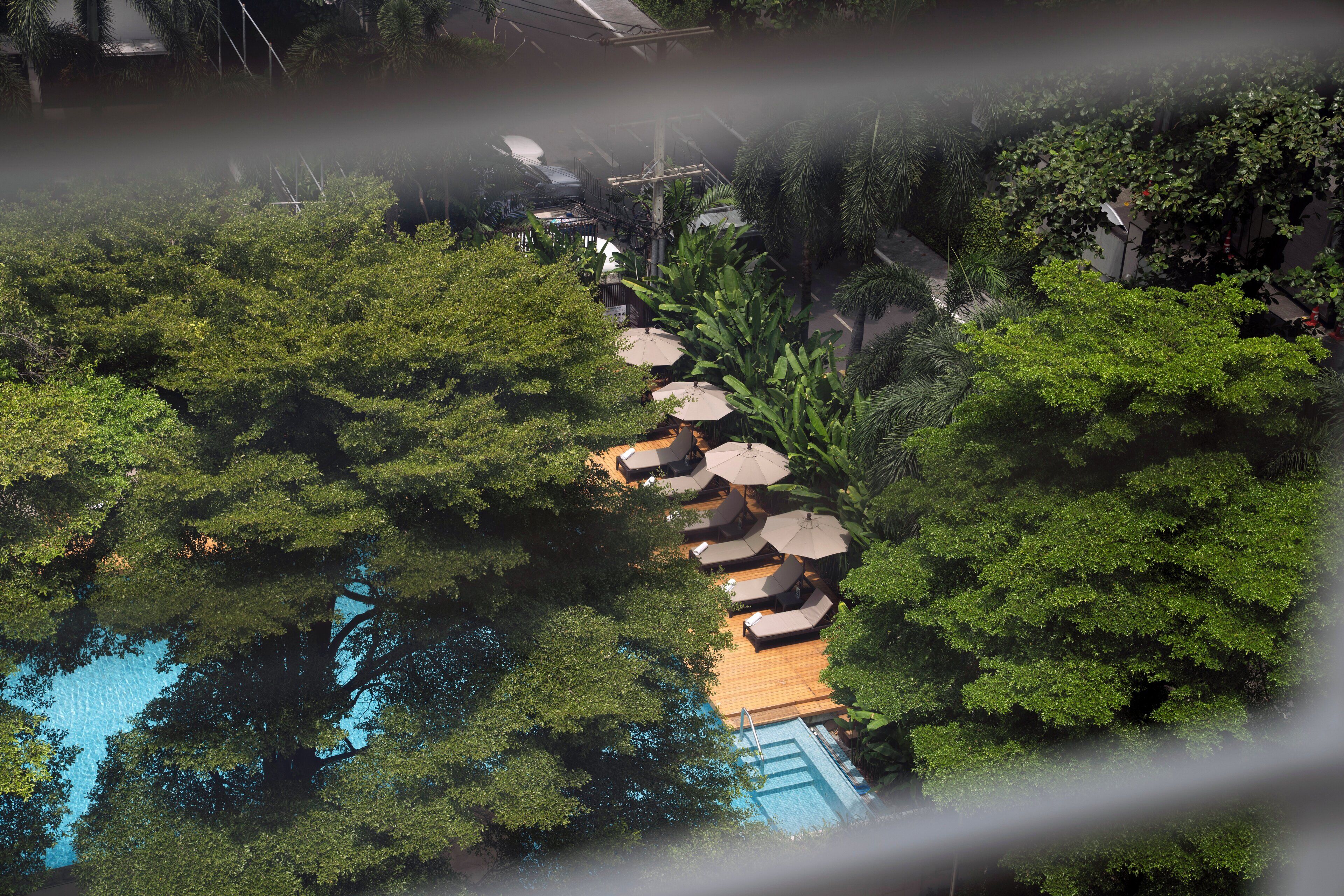 Sábanas de algodón egipcio, ropa de cama de alta calidad y minibar 