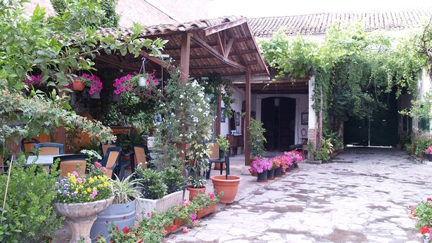 A covered patio area with potted plants and outdoor furniture. - Hotel Corona de Atarfe (Atarfe)