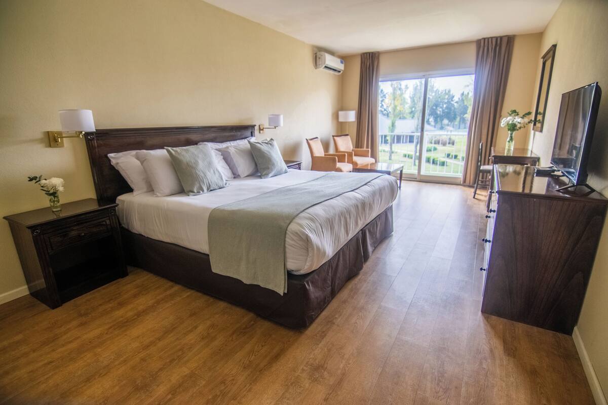 A hotel room with a large bed, a TV, a desk, and a view of the outdoors.