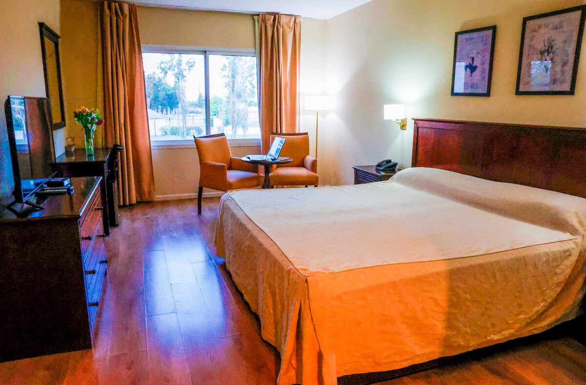 Habitación sénior | Ropa de cama hipoalergénica, edredones de plumas, minibar y caja fuerte