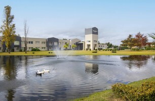Un edificio moderno con una torre identificada como 'Wyndham Garden', un estanque con patos y una fuente.