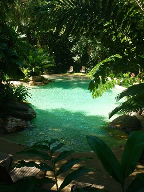 Outdoor pool, pool loungers - Ferntree Rainforest Lodge (Cape Tribulation)