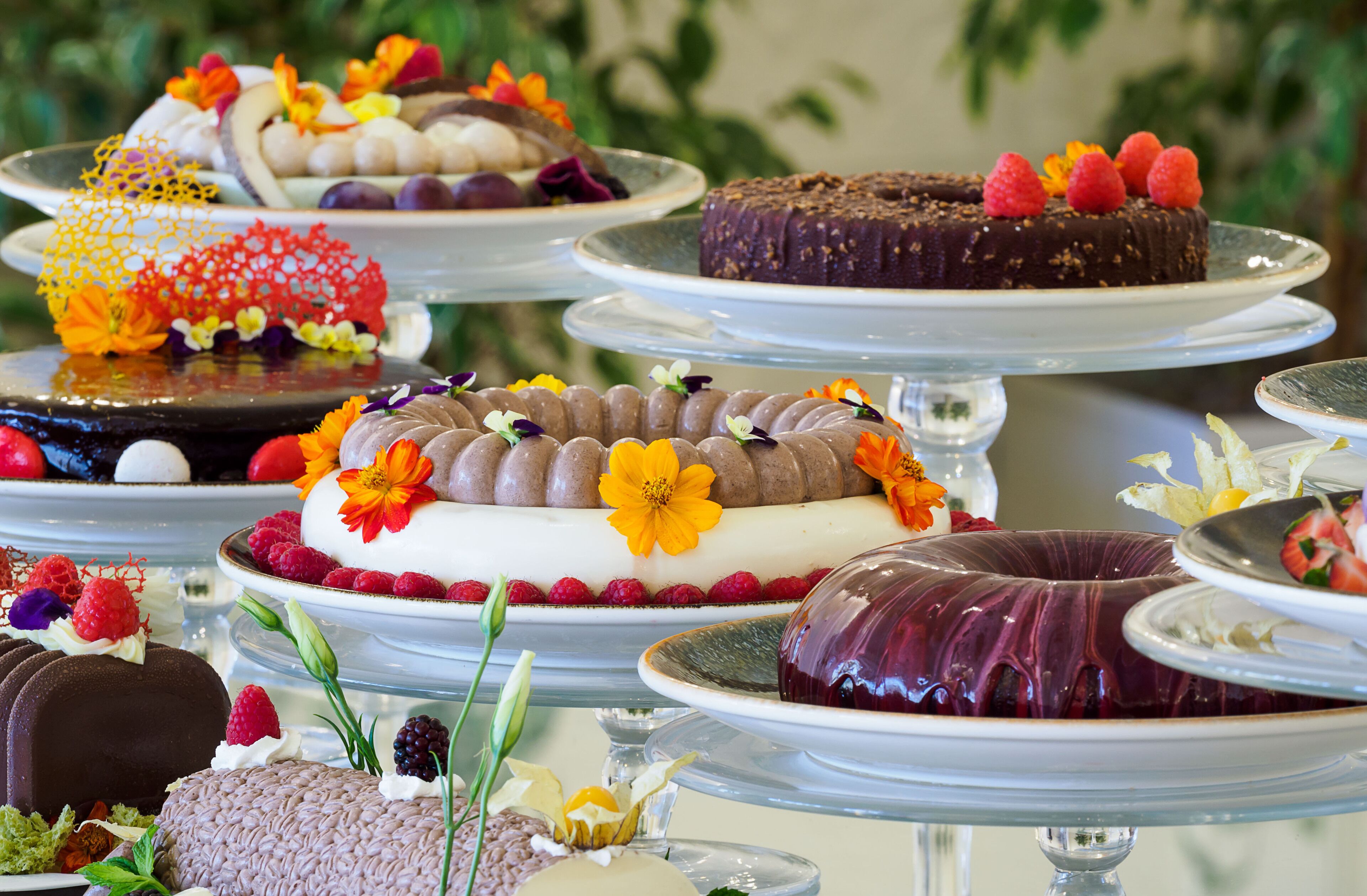 Tägliches inbegriffenes Frühstücksbuffet