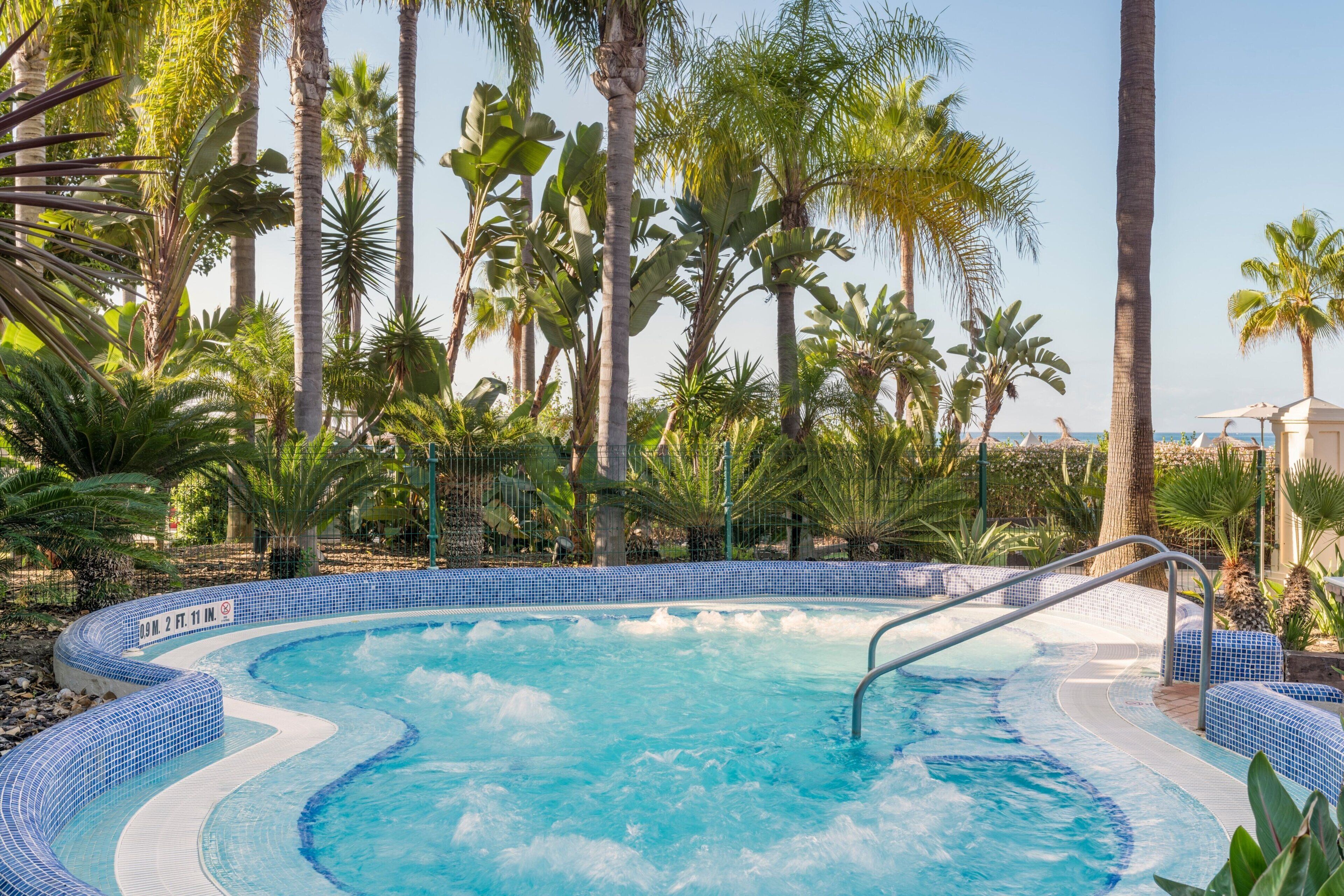 A hot tub surrounded by palm trees and a clear blue sky.