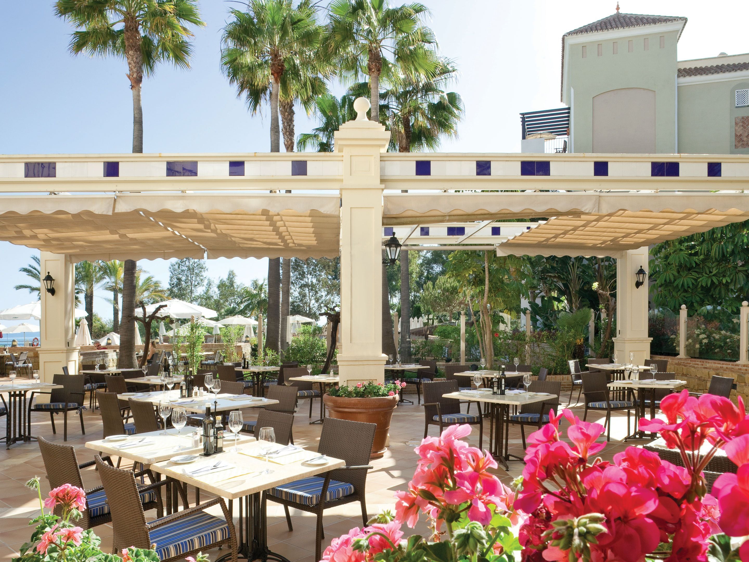 تقديم الإفطار، الأطباق العالمية، تناول الطعام في الهواء الطلق