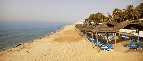 A beach with rows of blue lounge chairs under thatched umbrellas, a sandy shoreline, and palm trees in the background.