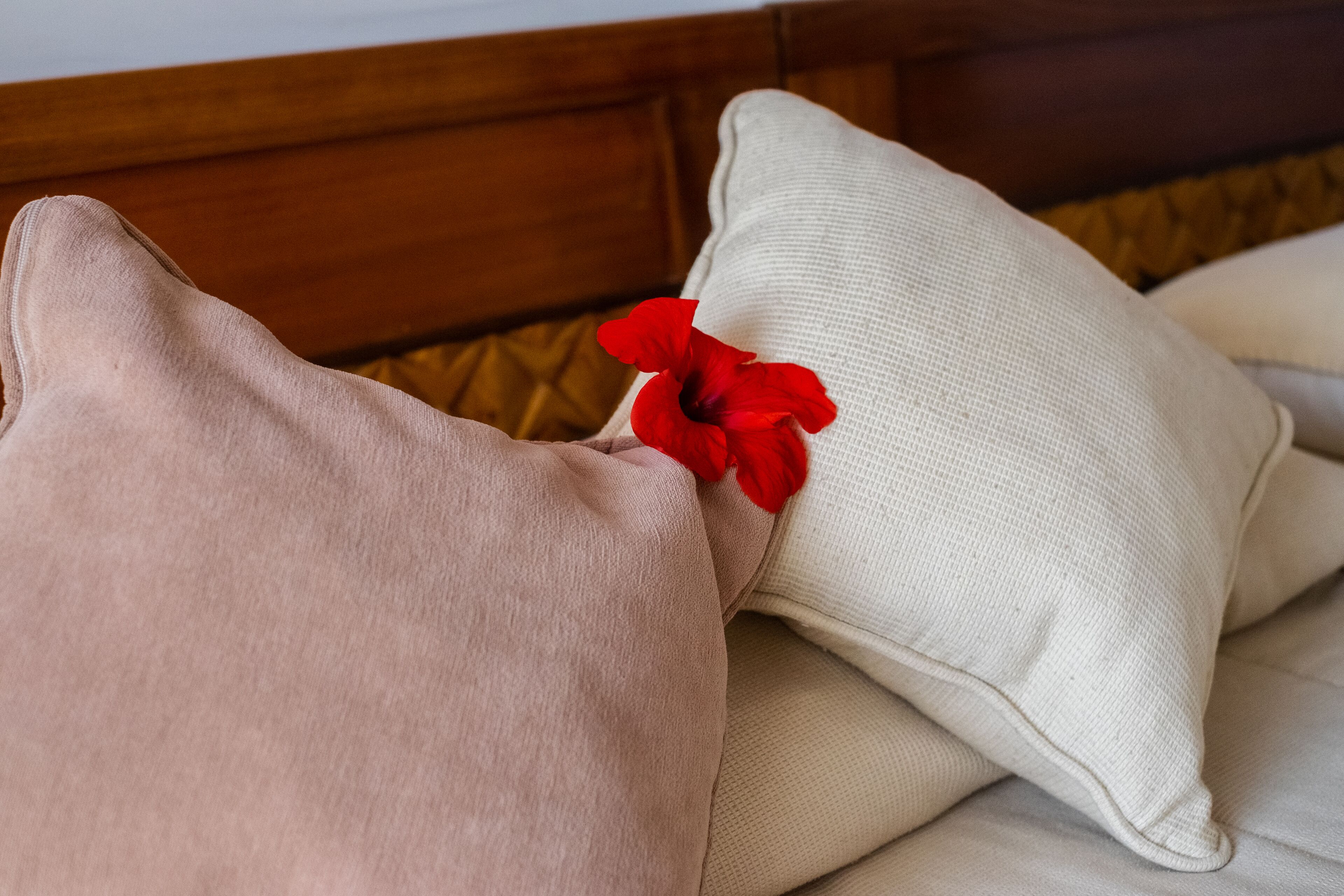 Foto - The Orangers Beach Resort and Bungalows All Inclusive