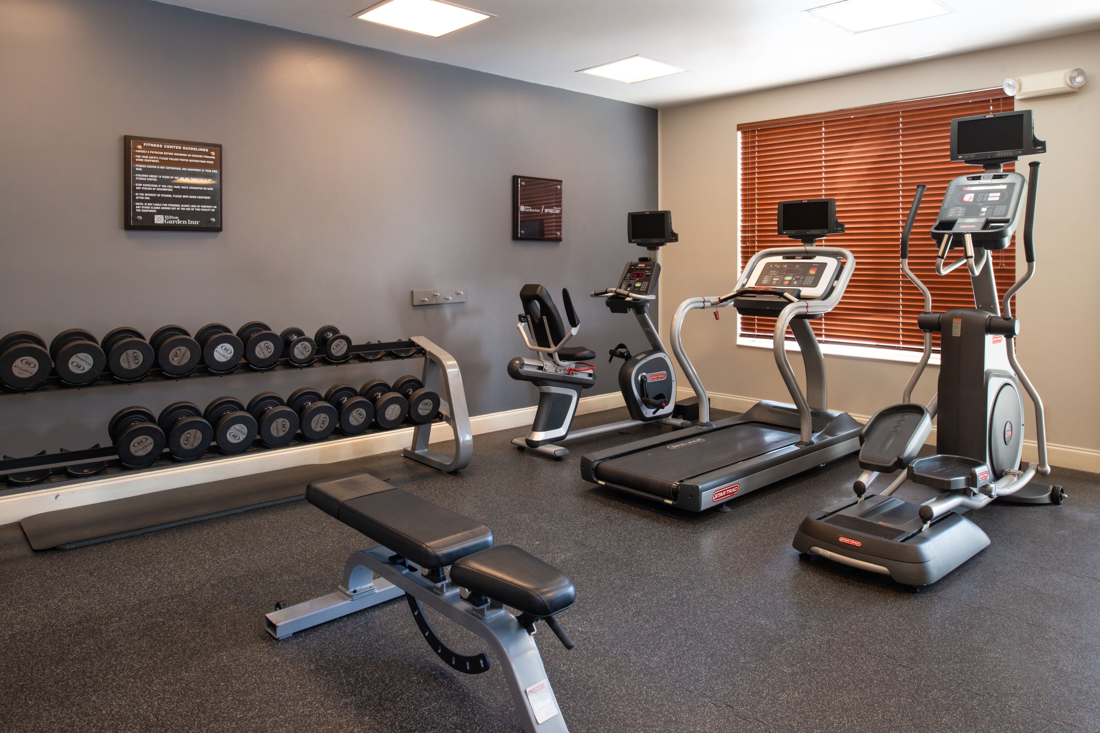 A gym with treadmills, an elliptical, dumbbells, and a bench.