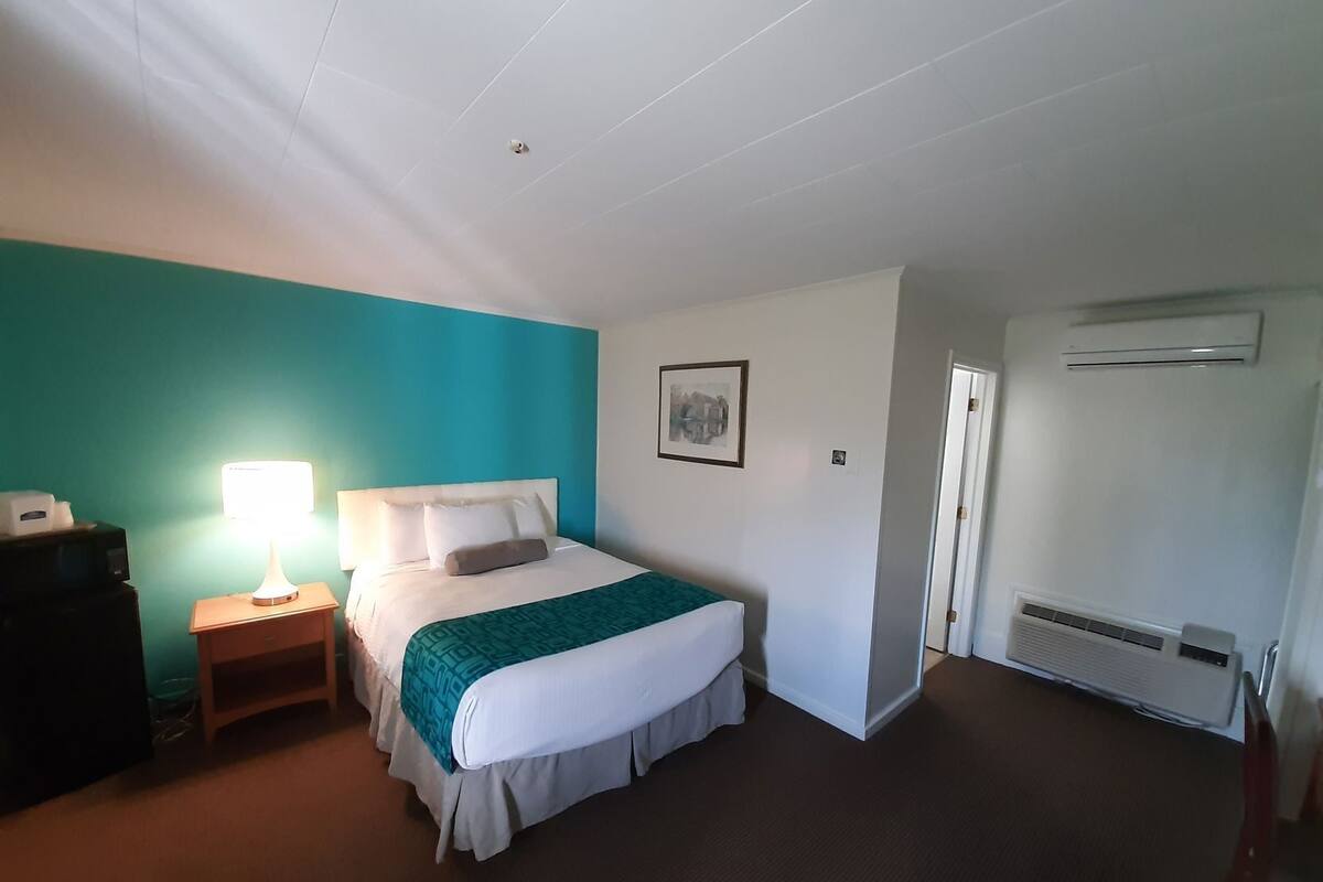 A hotel room with a bed, a bedside lamp, a picture on the wall, an air conditioning unit, and a door.