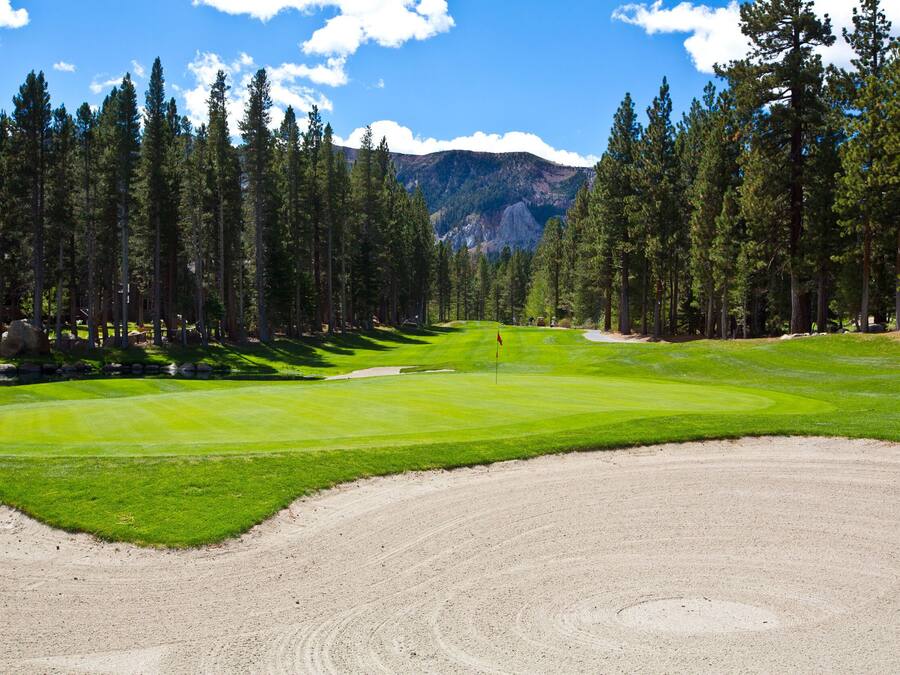 A golf course with a clear view of the green, sand bunkers, and surrounding pine trees.