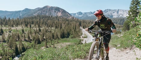 A mountain biker on a dirt trail with a view of a forest and mountains in the background.