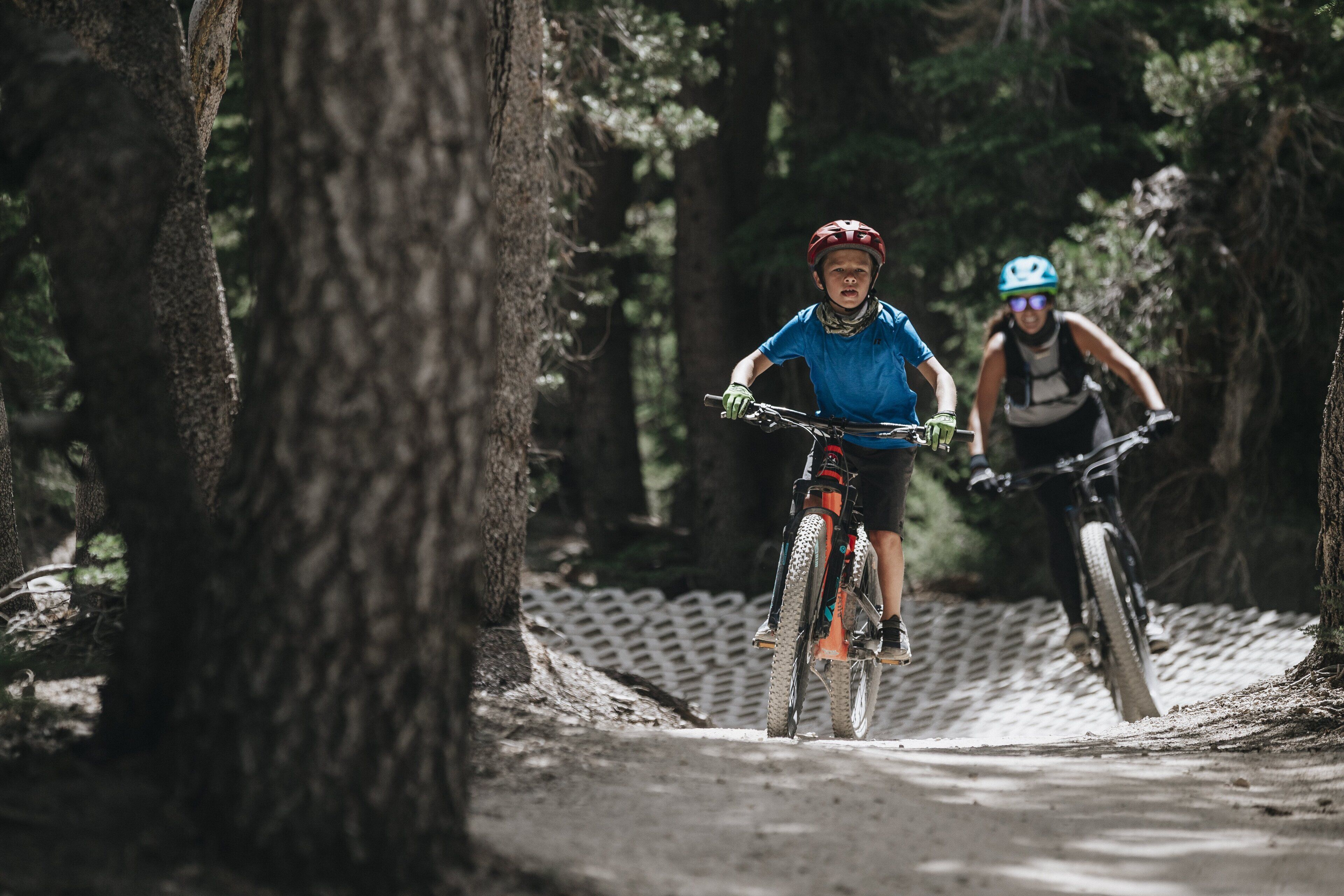 Deux cyclistes sur un sentier forestier.