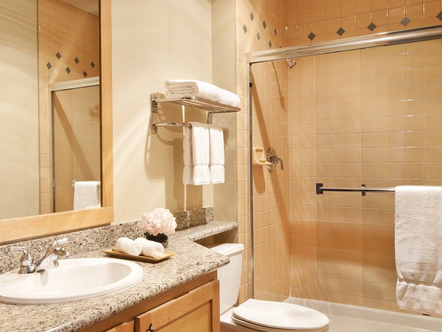 Un baño con lavabo, inodoro y ducha.