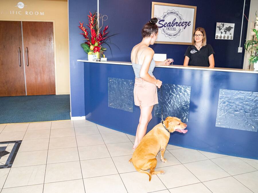 Une salle d’attente avec une porte en bois portant l’inscription « Pacific Room », un comptoir d’accueil et un chien assis sur le sol.