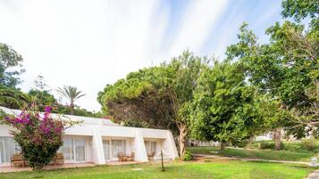 A white building with a covered outdoor seating area and a large tree in the foreground.