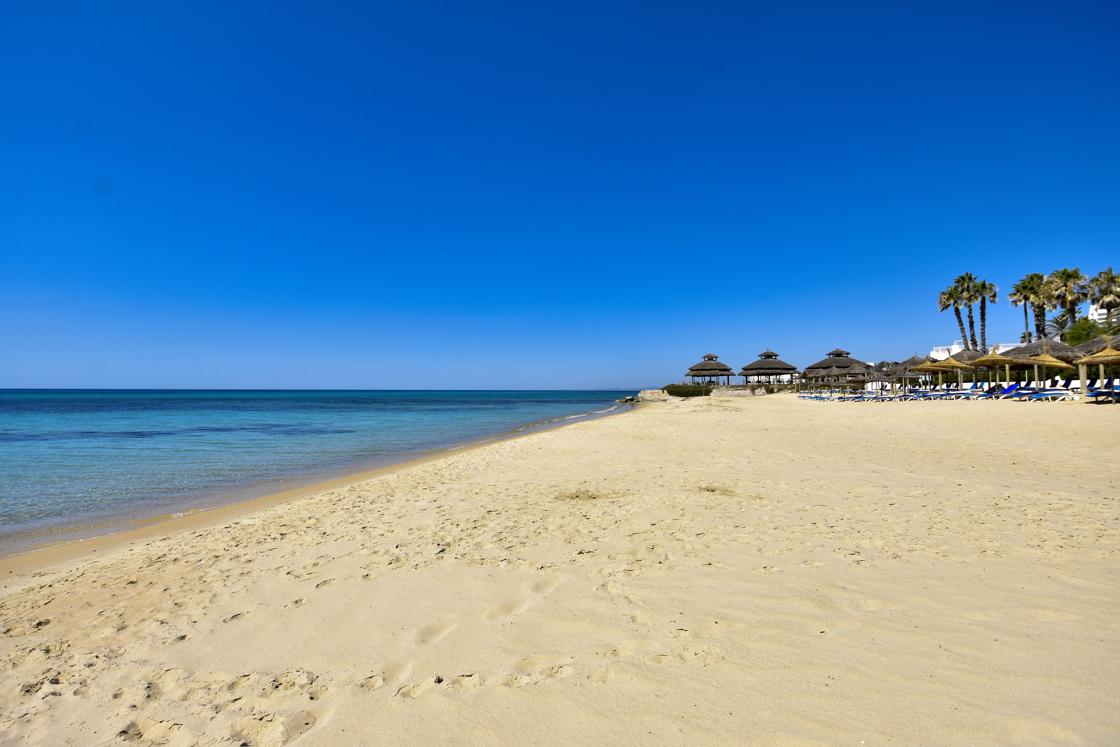 A beach with clear blue water, sandy shore, and palm trees.