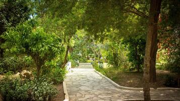 Un sendero de piedra serpentea por un exuberante jardín con árboles y arbustos.