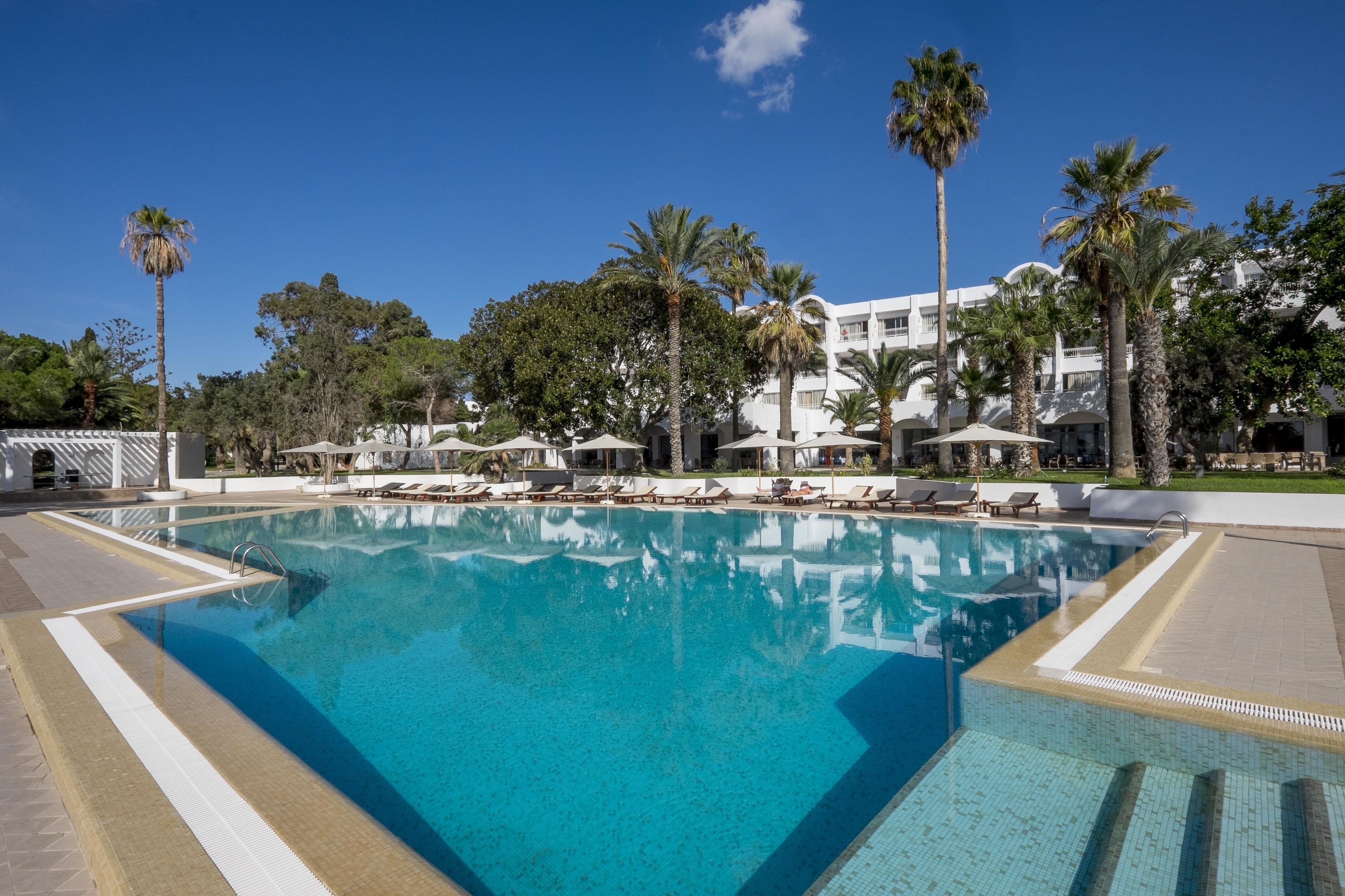 Una piscina azul cristalina rodeada de palmeras y sillones de descanso, con un edificio blanco al fondo.