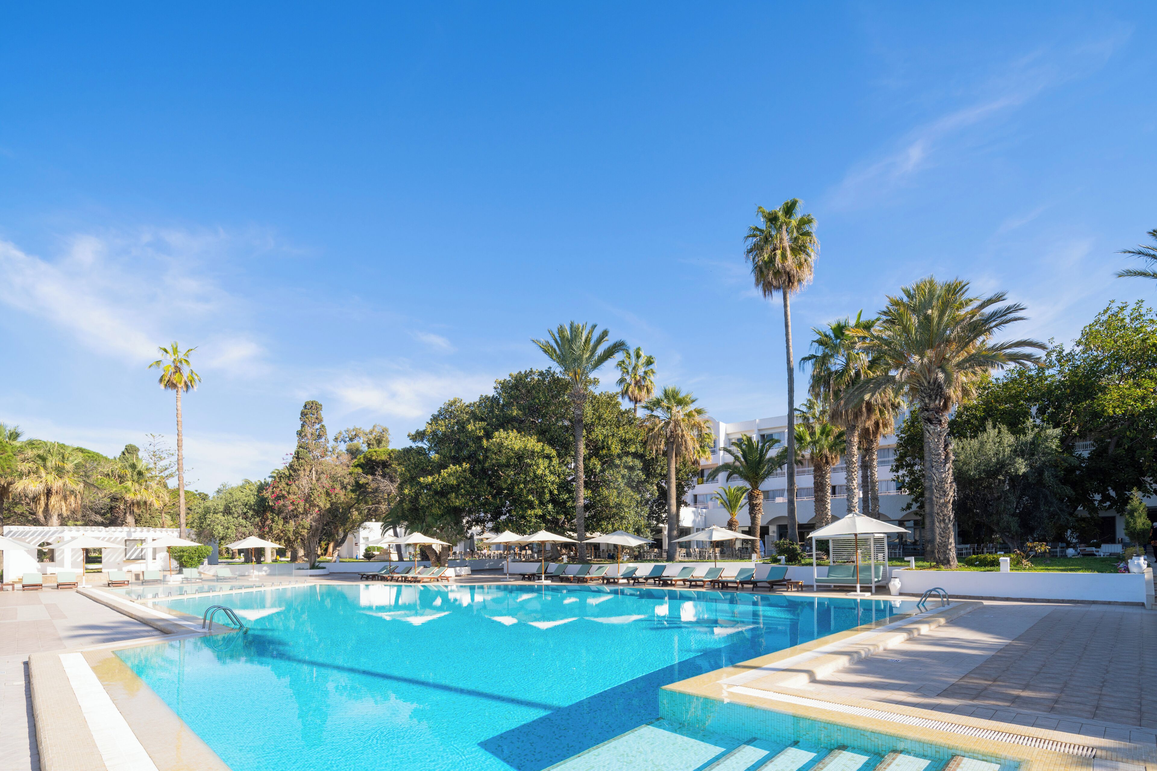Une piscine d’un bleu éclatant, bordée de chaises longues et d’ombrelles, et entourée de palmiers et de verdure.