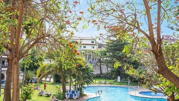 Une piscine entourée d’arbres et de verdure, sous un ciel dégagé.