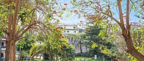 2 つの屋外プール