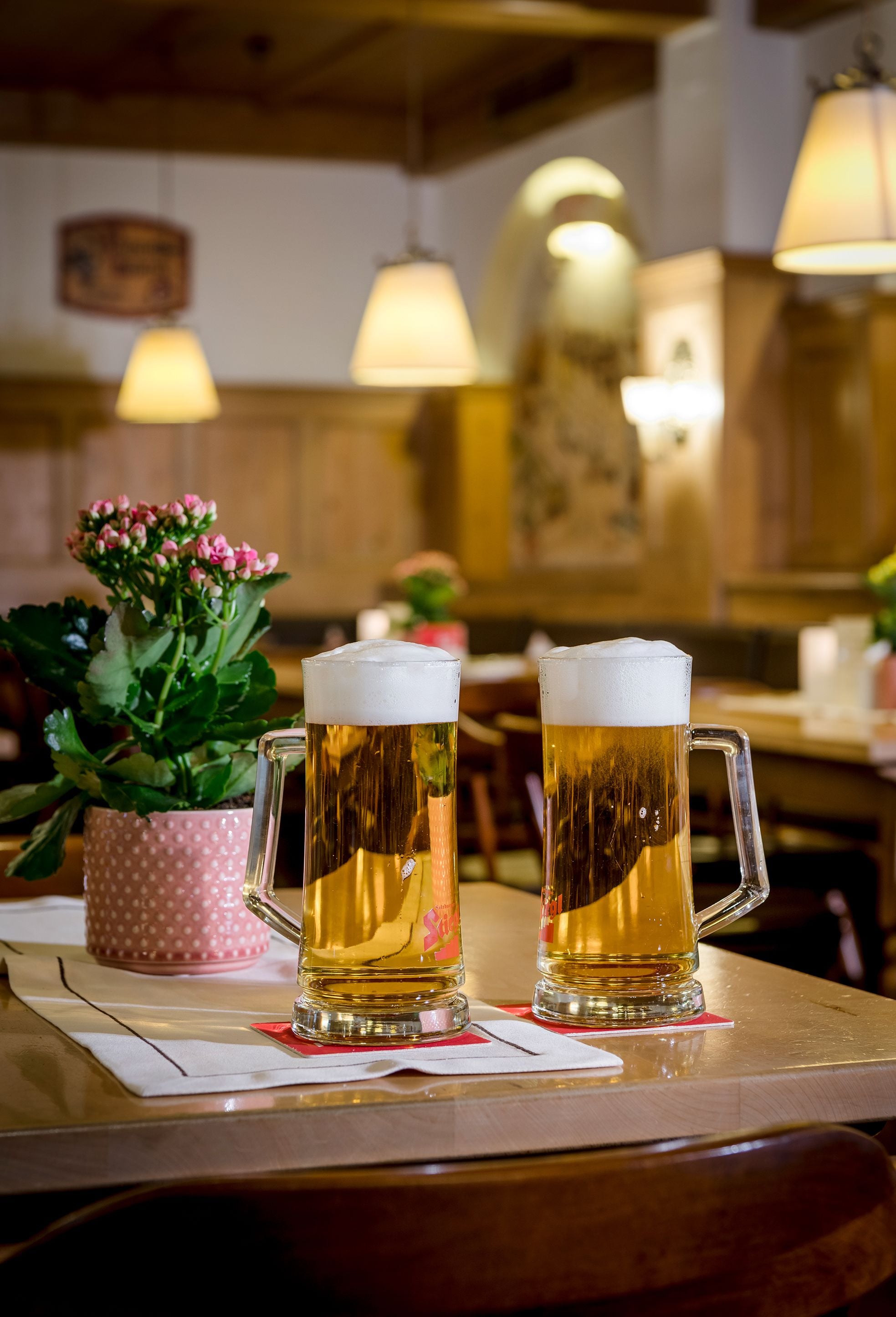 Two beer mugs on a wooden table with a potted plant and a polka-dotted container in the background.