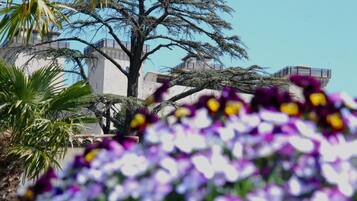 A building with a large tree in front, surrounded by purple flowers.