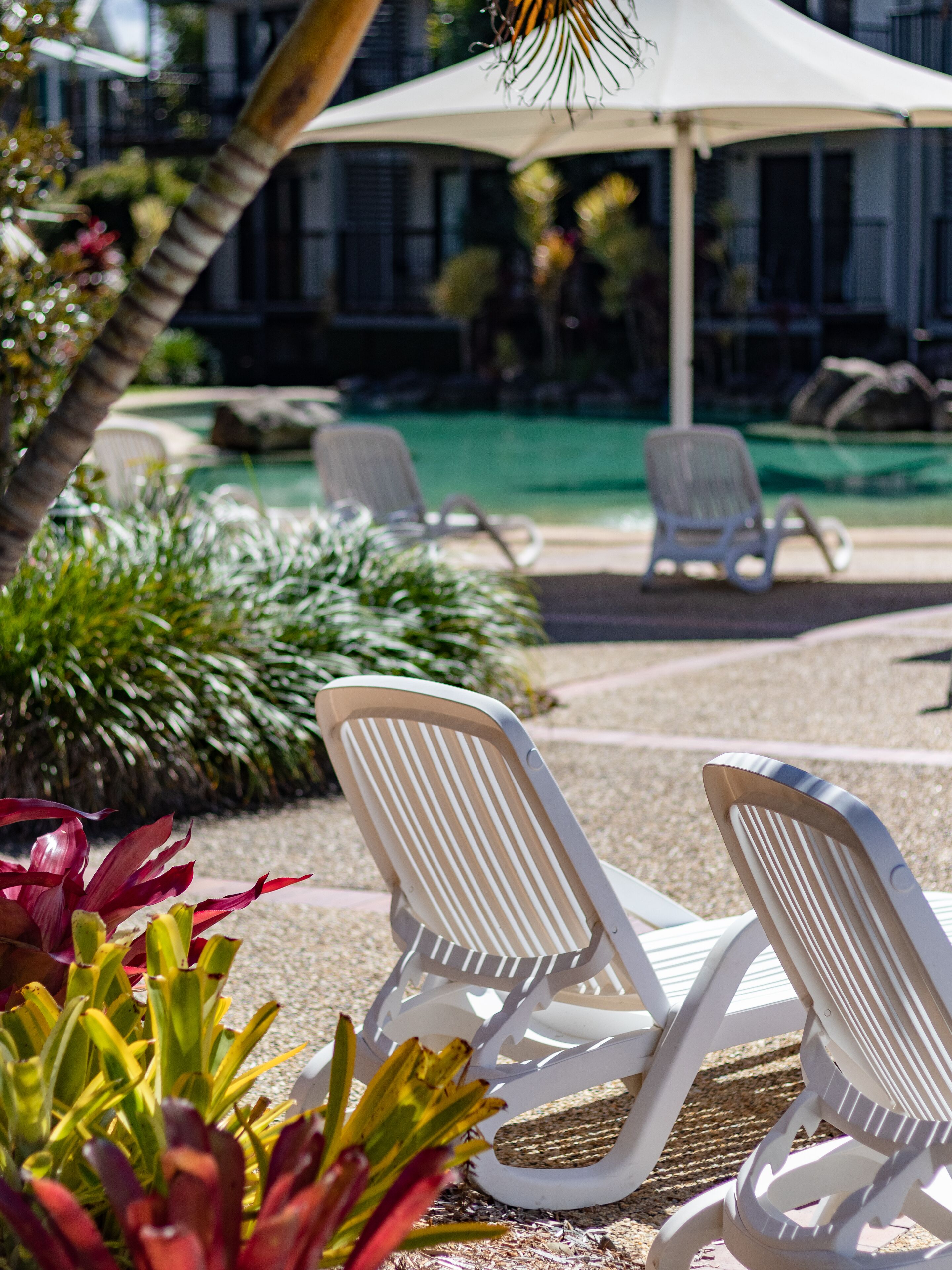 Two white lounge chairs near a pool, surrounded by greenery and a white umbrella.