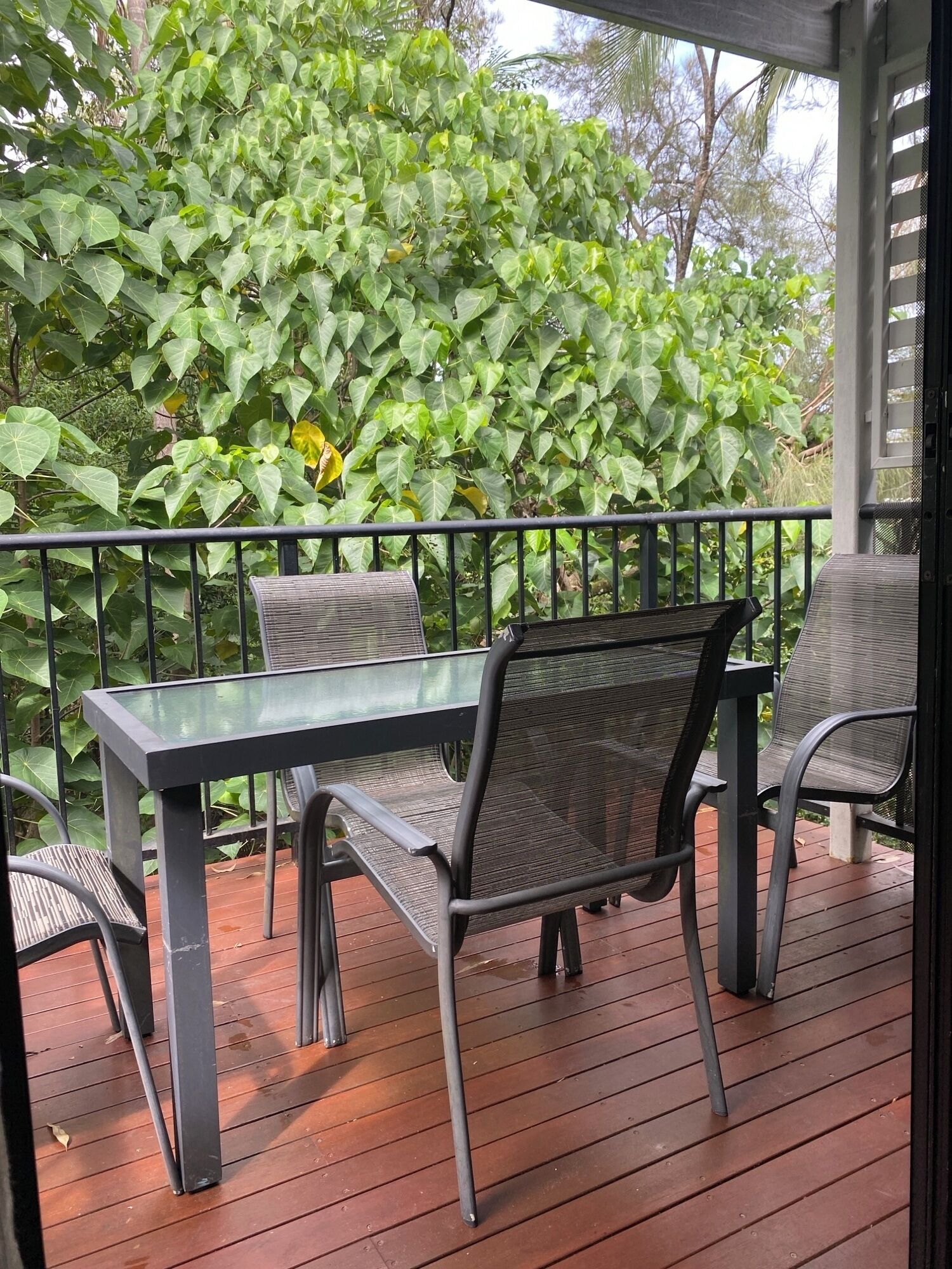 A covered outdoor deck with a table and chairs, surrounded by lush green foliage.